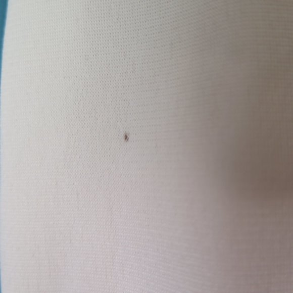 Abercrombie & Fitch ladies Jogging Suit jacket - Picture 4 of 4